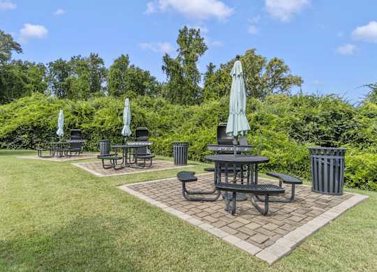a patio with tables and umbrellas in a park