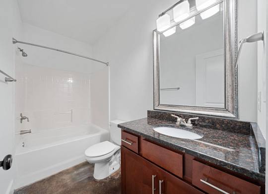A bathroom with a white toilet, a sink, and a mirror at Skyloft in Asheville, NC 28803