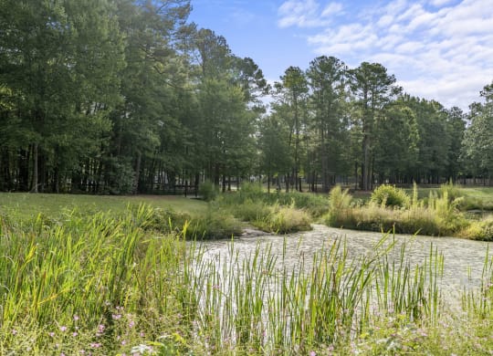 a small body of water with trees in the background at Trails at Short Pump Apartments, Richmond, VA