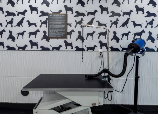 a treadmill with a dog wallpaper in the background at Tapestry West, Richmond