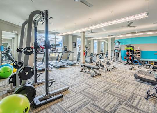 A gym with a variety of equipment including treadmills, weights, and exercise balls.