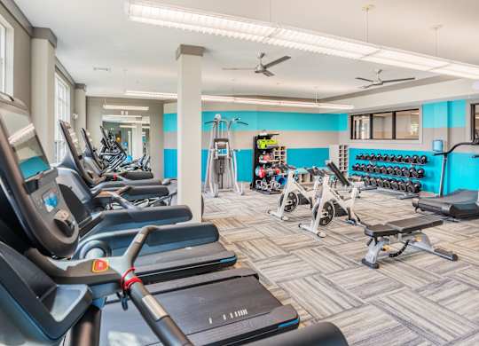 A gym with treadmills and exercise equipment.