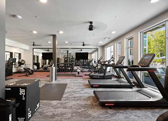 A gym with treadmills and exercise equipment.