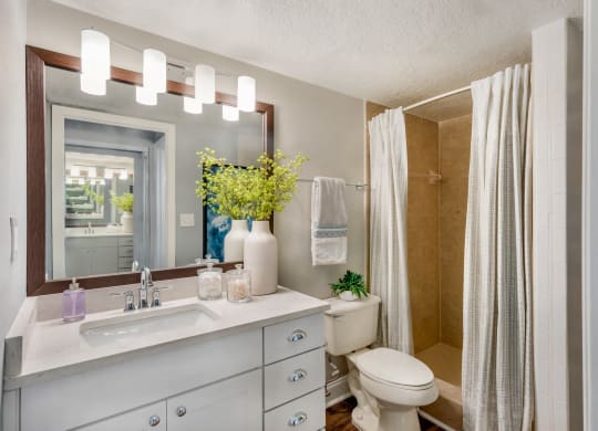 a bathroom with a sink and a toilet and a shower at The Villas at Ibis Landing, Parkland, 33067