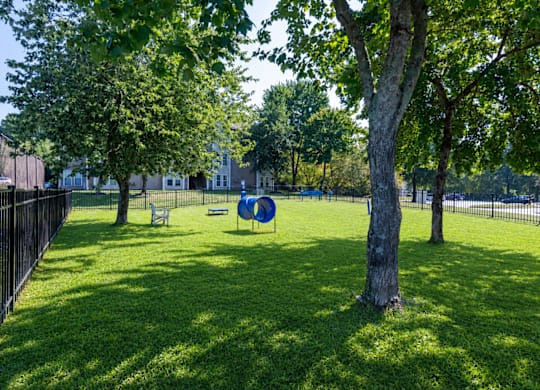 A playground with a blue slide in the middle of a grassy area.