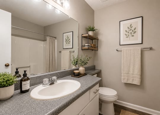 A bathroom with a sink, toilet, and a mirror.