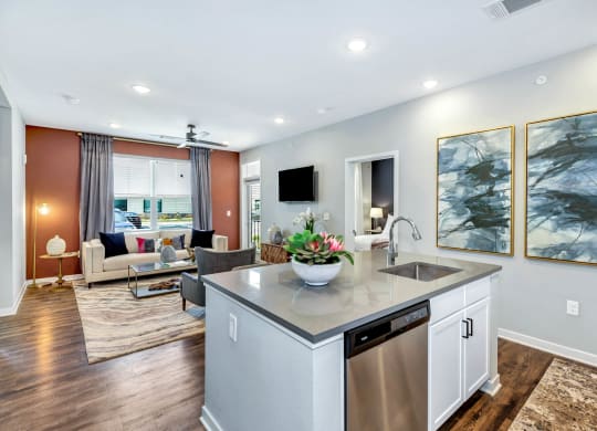 Kitchen and living at Farmhaus Apartments, Madison