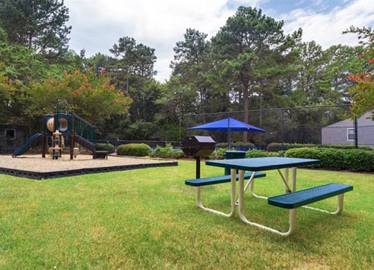 a park with a playground and a picnic table at High Ridge Apartments, Georgia, 30606