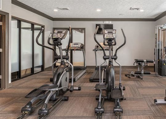 a gym with cardio equipment and weights on the floor at High Ridge Apartments, Georgia, 30606