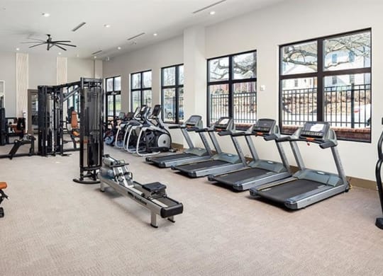 the gym is equipped with a variety of weights and cardio equipment at The Flats at Southlawn Apartments, Lawrenceville