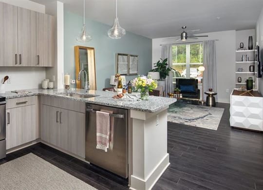 a kitchen with stainless steel appliances and a counter top at Promenade at Newnan Crossing, Newnan, GA