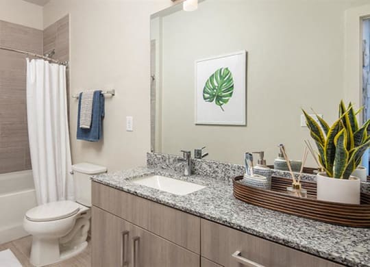 a bathroom with a sink and a toilet and a shower at Promenade at Newnan Crossing, Newnan
