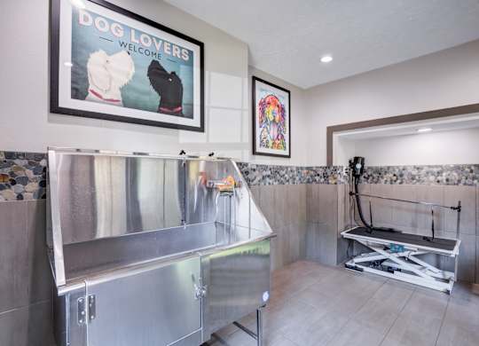 A dog lovers welcome sign hangs on a wall above a stainless steel counter.