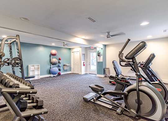 A gym with a row of dumbbells and exercise equipment.