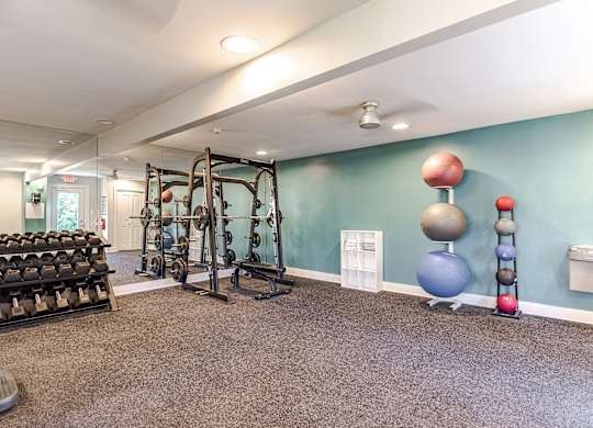 A gym with a variety of equipment including dumbbells, weight plates, and a squat rack.