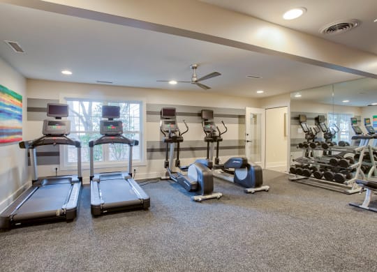 the gym at the whispering winds apartments in pearland, tx at Hunters Chase Apartments, Midlothian ,23112