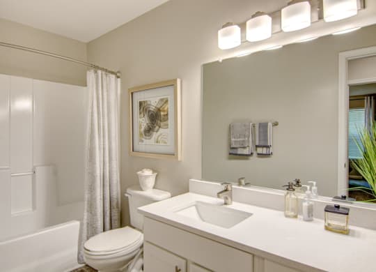 a bathroom with a toilet sink and bathtub at Hunters Chase Apartments, Virginia,23112