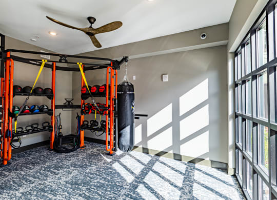 a fitness room with a wall of windows and a rack of fitness equipment at The Louis Apartment Flats, Louisville, KY, 40241