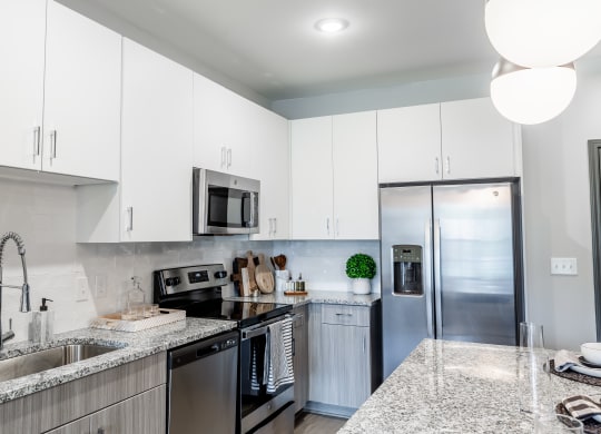 a modern kitchen with granite counter tops and stainless steel appliances at The Louis Apartment Flats, Kentucky, 40241
