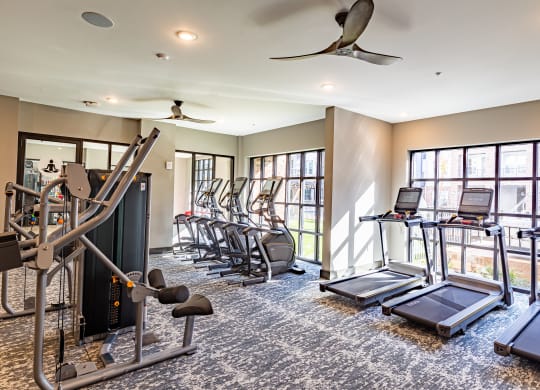 a gym with cardio machines and weights in a room with windows at The Louis Apartment Flats, Kentucky
