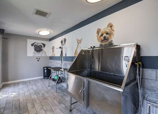 A dog grooming station with a pug on the wall.