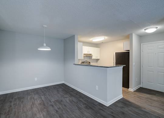 A room with a bar counter and a door.