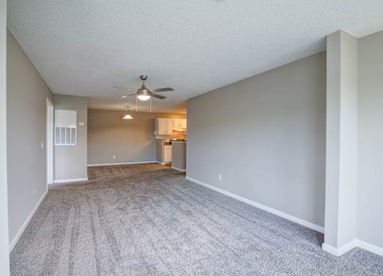 A spacious room with a ceiling fan and carpeted floor.