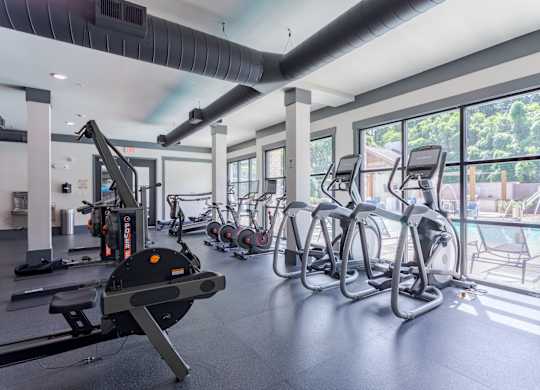 A gym with a row of treadmills and elliptical machines.