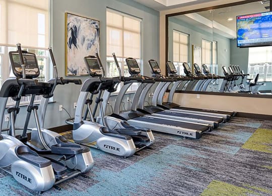a row of cardio machines in a gym at Canopy at Ginter Park Apartments, Richmond, VA, 23227