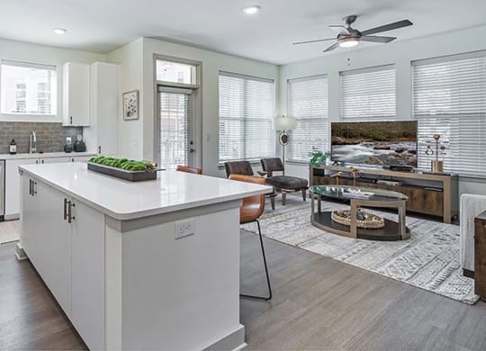 a kitchen with a center island next to a living room at Canopy at Ginter Park Apartments in Richmond, VA 23227