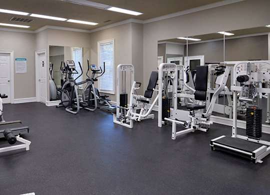 A gym with a variety of equipment including a leg press machine, a chest press machine, and a leg curl machine at Austin Chase Apartments, Macon, GA 31210
