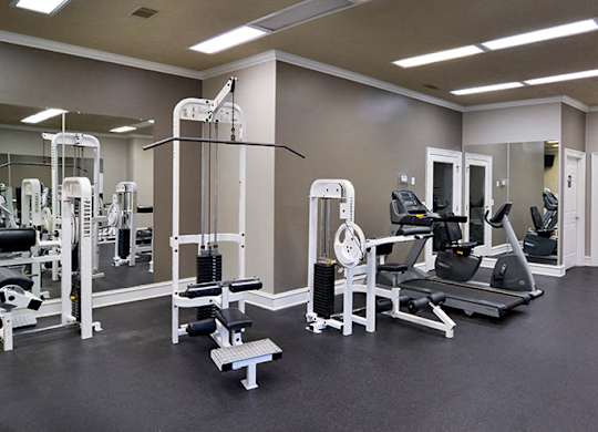 A gym with a variety of equipment including a leg press machine, a chest press machine, a leg curl machine, a leg extension machine, a lat pulldown machine, a seated calf raise machine at Austin Chase