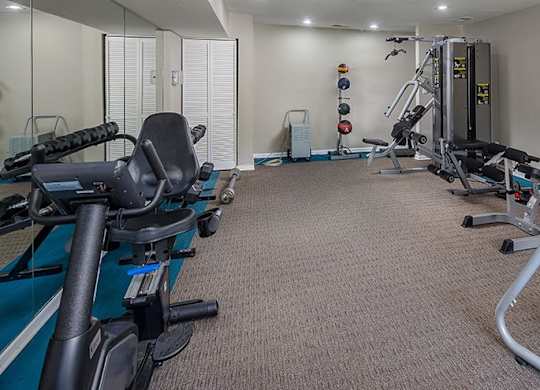 A well-equipped gym with various exercise machines and weights.