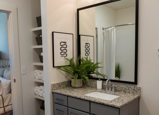 a bathroom with a sink and a mirror and a closet at The Quincy Apartments, Acworth, GA