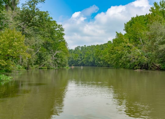 the river with trees on both sides and a blue sky with white clouds at Residence at Riverwatch, Georgia