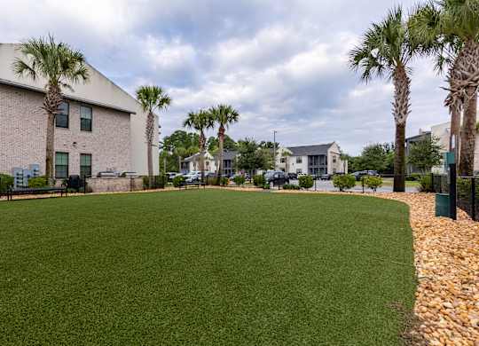 A grassy area with a building and palm trees in the background.