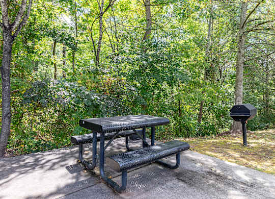 Picnic table and bench in a wooded area.
