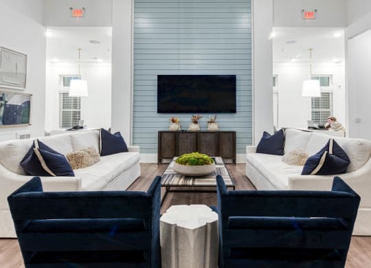a living room with blue and white furniture and a television at Retreat at Arden Farms, North Carolina