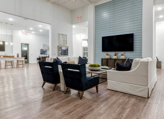 a living room with chairs and a couch and a television at Retreat at Arden Farms, Arden