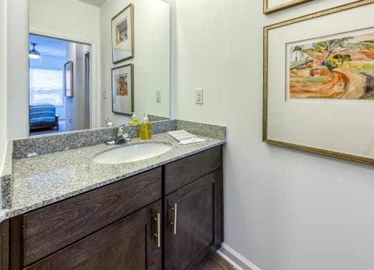 a bathroom with a sink and a mirror at Retreat at Arden Farms, Arden, NC 28704