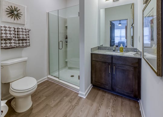 a bathroom with a toilet and a sink and a shower at Retreat at Arden Farms, Arden North Carolina