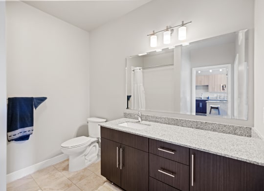 a bathroom with a large mirror and a toilet at Rivergate, Virginia