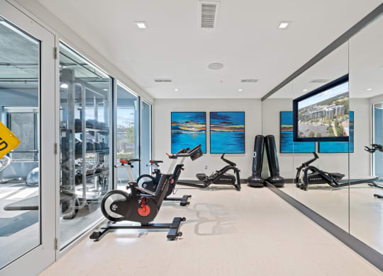 a home gym with a large screen tv and exercise bikes at Rivergate, Woodbridge, VA