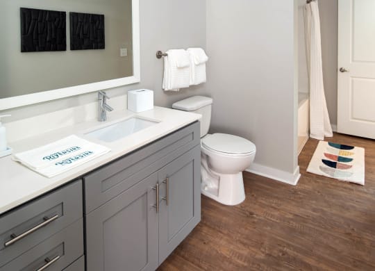 a bathroom with a toilet and a sink and a mirror at One Riverside Apartments, Chattanooga, TN, 37403
