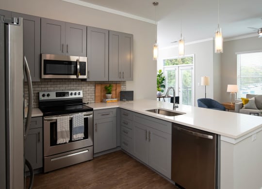 a kitchen with stainless steel appliances and a white counter top at One Riverside Apartments, Chattanooga, 37403