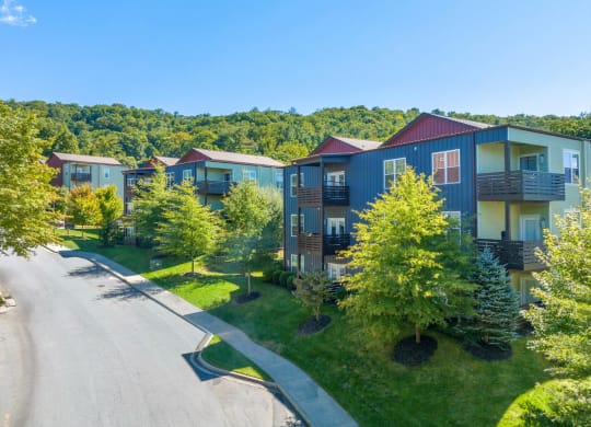 an aerial view of a row of houses with trees and a road at Skyloft, North Carolina, 28803