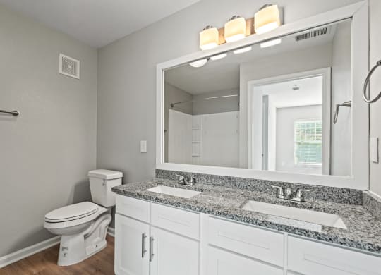 a bathroom with a sink and a toilet and a mirror at SomerHill Farms Apartments, Gainesville Virginia