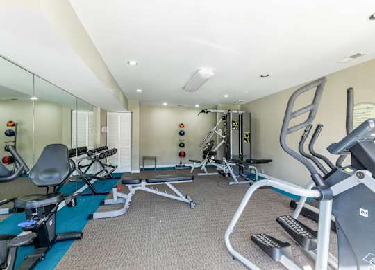 A well-equipped gym with a variety of exercise machines.