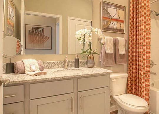 a bathroom with a sink and a toilet and a shower