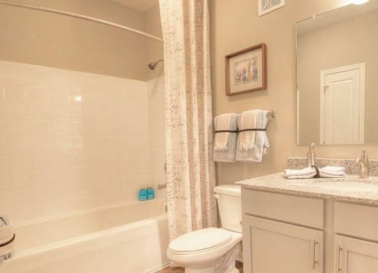 a bathroom with a sink toilet and a mirror  at Lullwater at Big Ridge, Hixson, Tennessee